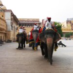 A grand procession of elephants adorned in vibrant blankets makes its way along the expansive stone pathway leading to Amber Fort in Jaipur, Rajasthan. Elephants adorned with red and blue blankets walk along a stone pathway at Amber Fort in Jaipur, Rajasthan, creating a festive atmosphere.